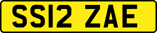 SS12ZAE