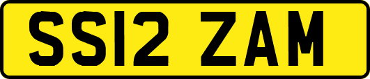 SS12ZAM