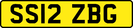 SS12ZBG