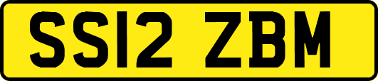 SS12ZBM