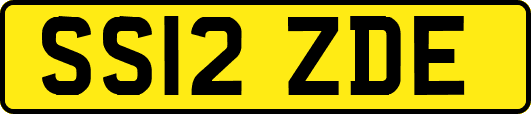 SS12ZDE
