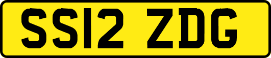 SS12ZDG