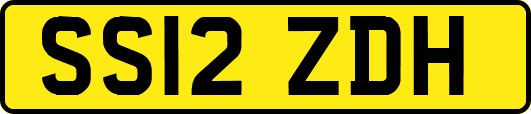 SS12ZDH