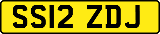 SS12ZDJ