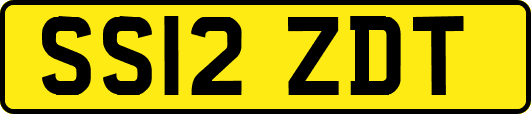 SS12ZDT