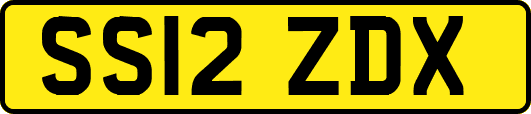 SS12ZDX