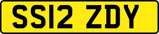 SS12ZDY