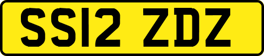 SS12ZDZ