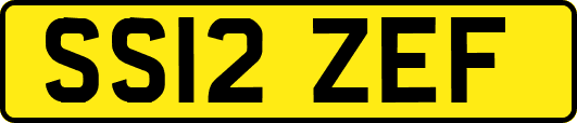 SS12ZEF