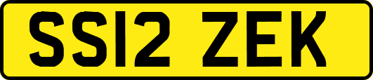 SS12ZEK