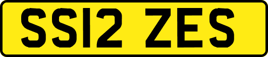 SS12ZES