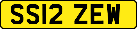 SS12ZEW