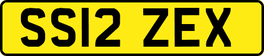 SS12ZEX