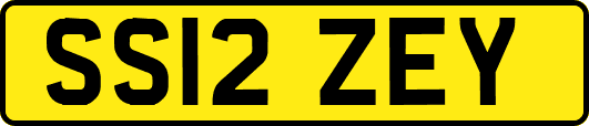 SS12ZEY