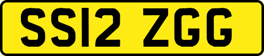 SS12ZGG