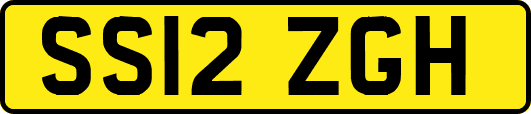 SS12ZGH