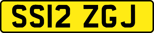SS12ZGJ