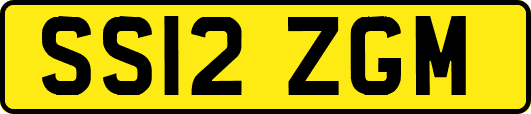 SS12ZGM