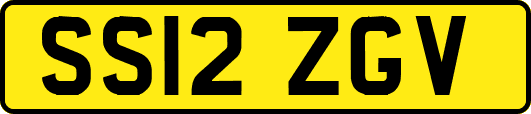 SS12ZGV