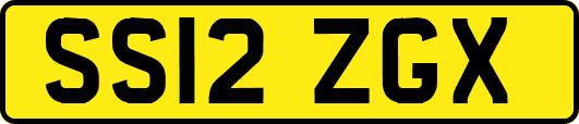 SS12ZGX