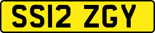 SS12ZGY