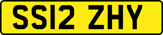 SS12ZHY