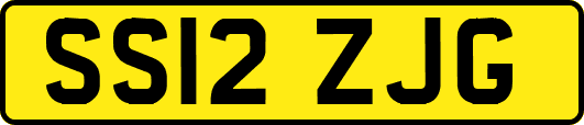SS12ZJG