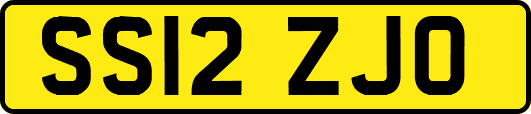 SS12ZJO