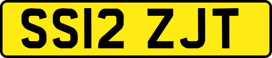 SS12ZJT