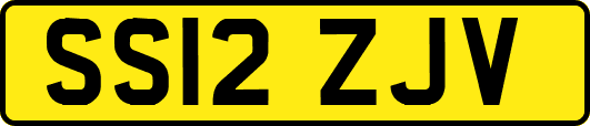 SS12ZJV