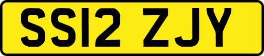 SS12ZJY