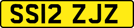 SS12ZJZ
