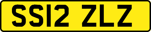 SS12ZLZ