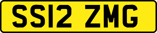 SS12ZMG