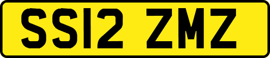 SS12ZMZ