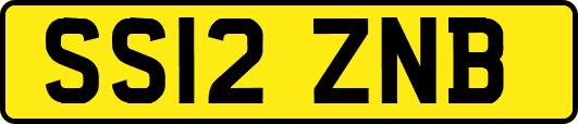 SS12ZNB