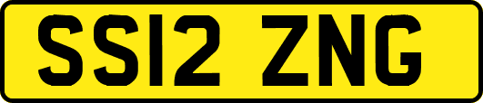 SS12ZNG