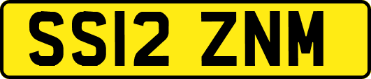 SS12ZNM