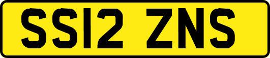 SS12ZNS