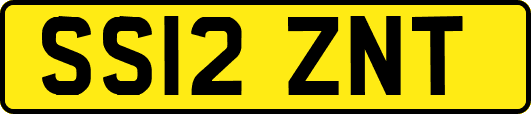 SS12ZNT