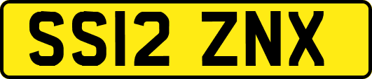 SS12ZNX