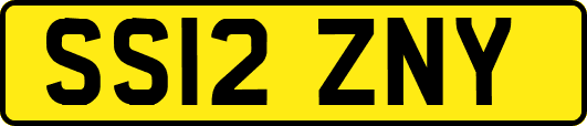 SS12ZNY
