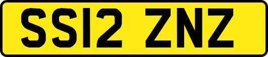 SS12ZNZ