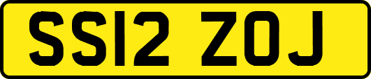 SS12ZOJ