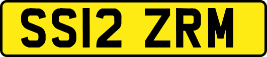 SS12ZRM