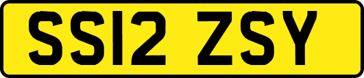 SS12ZSY