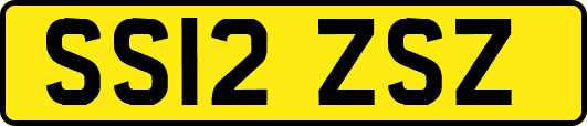 SS12ZSZ