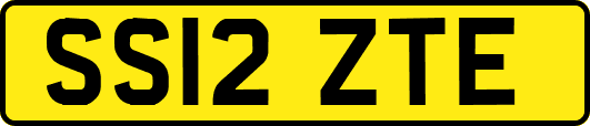 SS12ZTE