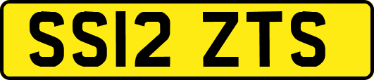 SS12ZTS