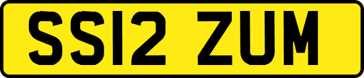 SS12ZUM
